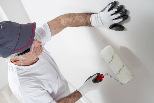 Best Drywall Patching  in USA